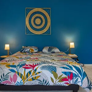 Le Nid Castonétois Appartement